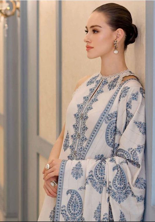 Bareeze 9001 9071 Best Quality Dhanak